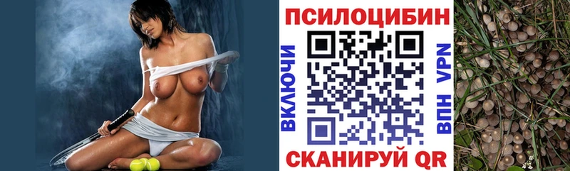 Купить где  Краснослободск  Псилоцибиновые грибы MAGIC MUSHROOMS 